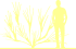 Пиктограмма: высота растения, биоформа, габитус, habitus, ракитник гибридный (cytisus hybridum)' boskoop ruby'