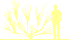 Пиктограмма: высота растения, биоформа, габитус, habitus, ракитник гибридный (cytisus hybridum)' hollandia'