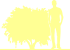 Пиктограмма: высота, габитус (habitus) экзохорда крупноцветная (exochorda × macrantha}) 'the bride'