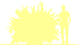 Пиктограмма: высота растения, биоформа, габитус, habitus, форзиция средняя (forsythia intermedia)' goldzauber'