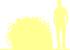 Пиктограмма: высота, биоформа, габитус, habitus, форзиция зеленейшая (forsythia viridissima) 'kumson'