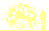 Пиктограмма: высота растения, биоформа, габитус, habitus, гортензия метельчатая (hydrangea paniculata)' kyushu'