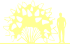 Пиктограмма: высота растения, биоформа, габитус, habitus, гортензия метельчатая (hydrangea paniculata)' tardiva'