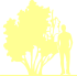 Пиктограмма: высота растения, биоформа, габитус, habitus, магнолия гибридная, кустарники (magnolia hybrida)' gold star'