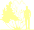 Пиктограмма: высота растения, биоформа, габитус, habitus, магнолия звездчатая (magnolia stellata)' dr massey'