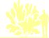 Пиктограмма: высота растения, биоформа, габитус, habitus, чубушник гибридный (philadelphus hybrida)' schneesturm'