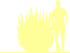 Пиктограмма: высота, габитус (habitus) смородина альпийская (ribes alpinum}) 'schmidt'