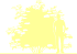 Пиктограмма: высота, биоформа, габитус, habitus, бузина черная (sambucus nigra) 'eva'