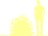 Пиктограмма: высота, биоформа, габитус, habitus, рябинник рябинолистный (sorbaria sorbifolia) 'sem'