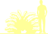 Пиктограмма: высота, биоформа, габитус, habitus, спирея трехлопастная (spiraea trilobata)