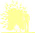 Пиктограмма: высота, биоформа, габитус, habitus, сирень венгерская (syringa josikaea)