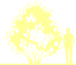 Пиктограмма: высота растения, биоформа, габитус, habitus, сирень обыкновенная (syringa vulgaris)' aucubaefolia'