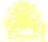 Пиктограмма: высота, биоформа, габитус, habitus, калина гордовина (viburnum lantana)