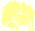 Пиктограмма: высота растения, биоформа, габитус, habitus, крушина ломкая (frangula alnus)' aspleniifolia'