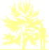 Пиктограмма: высота растения, биоформа, габитус, habitus, халезия каролинская (halesia carolina)' '