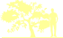 Пиктограмма: высота, биоформа, габитус, habitus, мушмула германская (mespilus germanica)