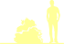 Пиктограмма: высота, биоформа, габитус, habitus, сосна черная (pinus nigra) 'lesisko'