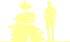 Пиктограмма: высота, биоформа, габитус, habitus, сосна мелкоцветковая (pinus parviflora) 'azuma'