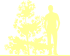 Пиктограмма: высота, биоформа, габитус, habitus, сосна мелкоцветковая (pinus parviflora) 'bonnie bergman'
