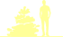 Пиктограмма: высота, габитус (habitus) сосна мелкоцветковая (pinus parviflora}) 'dai-ho'