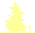 Пиктограмма: высота, биоформа, габитус, habitus, сосна Гриффита (pinus wallichiana)