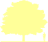 Пиктограмма: форма кроны, высота, габитус (habitus) орех грецкий (juglans regia}), типовой вид