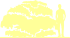 Пиктограмма: форма кроны, высота, габитус (habitus) клен пальмолистный  (acer palmatum}) 'tamukeyama'