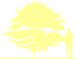 Пиктограмма: форма кроны, высота, габитус (habitus) клен пальмолистный  (acer palmatum}) 'atropurpureum'