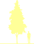 Пиктограмма: форма кроны, высота, биоформа, габитус, habitus, рябина обыкновенная (sorbus aucuparia) 'fingerprint'