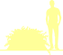 Пиктограмма: форма кроны, высота, биоформа, габитус, habitus, барбарис Тунберга (berberis thunbergii) 'starburst'
