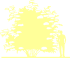 Пиктограмма: форма кроны, высота, биоформа, габитус, habitus, бузина черная (sambucus nigra)