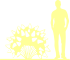 Пиктограмма: форма кроны, высота, биоформа, габитус, habitus, гортензия метельчатая (hydrangea paniculata) 'candlelight'