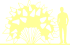 Пиктограмма: форма кроны, высота, биоформа, габитус, habitus, гортензия метельчатая (hydrangea paniculata) 'fire light'