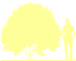 Пиктограмма: форма кроны, высота, биоформа, габитус, habitus, кизил обыкновенный (cornus mas) 'golden glory'