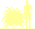 Пиктограмма: форма кроны, высота, биоформа, габитус, habitus, пузыреплодник калинолистный (physocarpus opulifolius) 'andre'