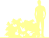 Пиктограмма: форма кроны, высота, биоформа, габитус, habitus, рододендрон якушиманский (rhododendron yakushimanum) 'schneekrone'