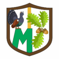 логотип компании
