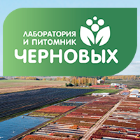 логотип компании