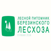 логотип компании